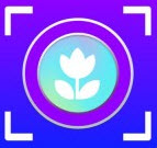 万物识图高手app安卓版