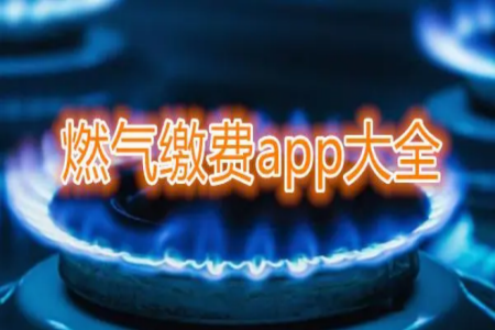 手机天然气缴费软件