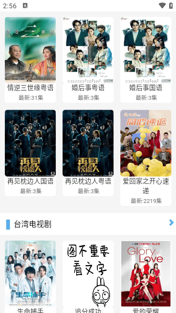 飞极速在线影视官方版