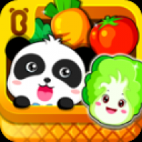 宝宝学蔬菜下载安装
