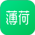 薄荷健康减肥软件app官方版 v13.0.13