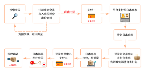 日拍网2024最新版