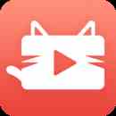 新版猫咪破解无限次数版