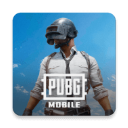 p up g国际服地铁逃生下载游戏安卓最新客户端(PUBG MOBILE)