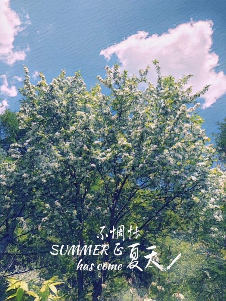 怀念2018年的夏天的文案图片大全免费分享图片1