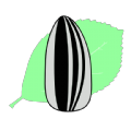瓜籽影视免费版下载 v1.0.0