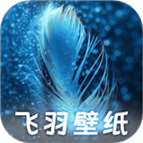 飞羽壁纸app下载